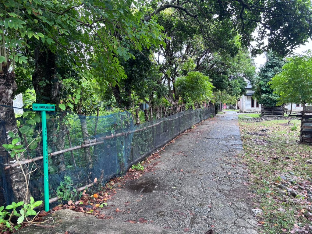 Jalan Menuju Dusun Mamplam Awee 